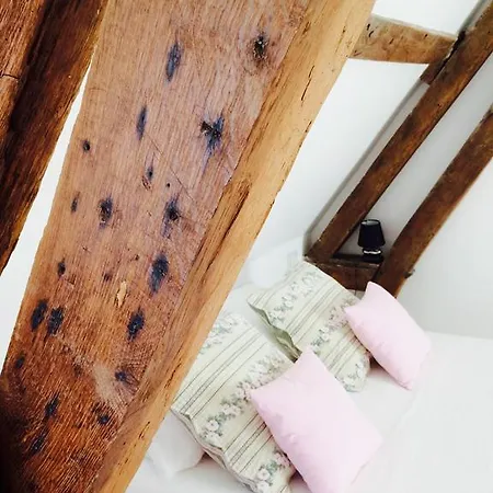 Chateau Gaillard Baie De Somme * Forest-Montiers